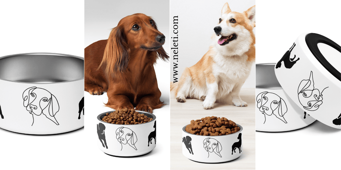 Why Double-Walled Stainless Steel Dog Bowls are a Must-Have for Pet Owners? - neleti