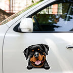 Car with a sticker of a Rottweiler dog on the side