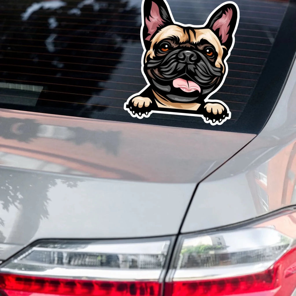 French Bulldog sticker on car window - waterproof decal application example for dog parents
