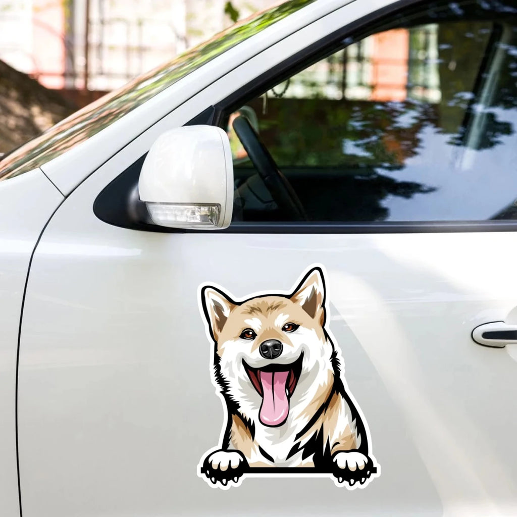 Shiba Inu sticker on car door - waterproof decal application example for dog dads
