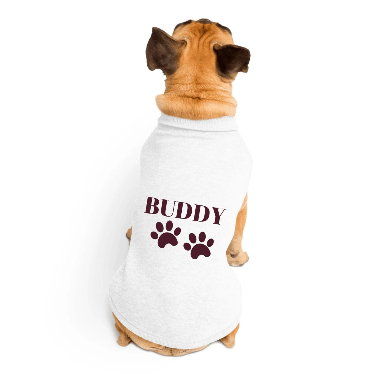 Custom Dog Sweater - Chihuahua, Pug, Beagle, Corgi, Labrador, Golden Retriever - Personalized Name & Paws - neleti