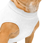 Custom Dog Sweater - Chihuahua, Pug, Beagle, Corgi, Labrador, Golden Retriever - Personalized Name & Paws - neleti