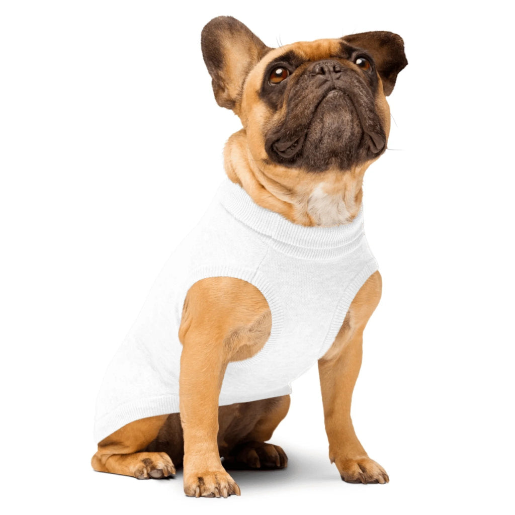 Custom Dog Sweater - Chihuahua, Pug, Beagle, Corgi, Labrador, Golden Retriever - Personalized Name & Paws - neleti