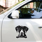 Great Dane - Waterproof Decal for Car, Laptop, Water Bottle, Notebook, Phone Case | Dog Mom Gift - neleti