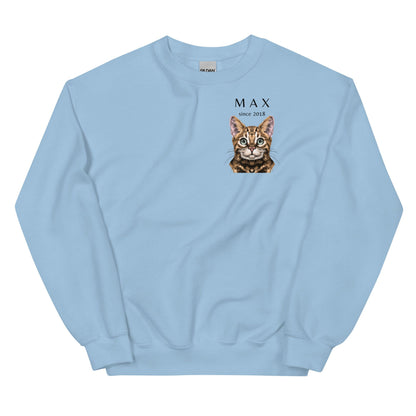 light-blue-sweatshirt-for-cat-dads