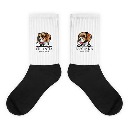 socks-with-beagle-custom-dog-print