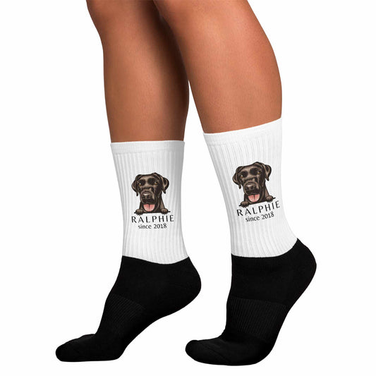 socks-with-labrador